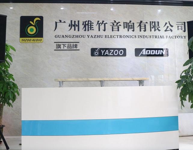 专业声光与计算设备一体化经营 向阳公司经营范围解析